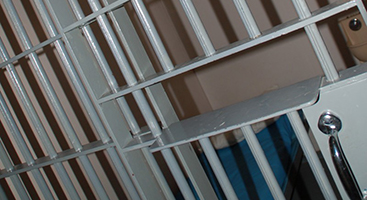 Woman sues state Division of Corrections for sister's death while in jail